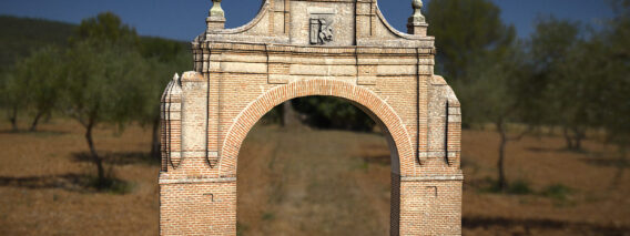 arch of medina